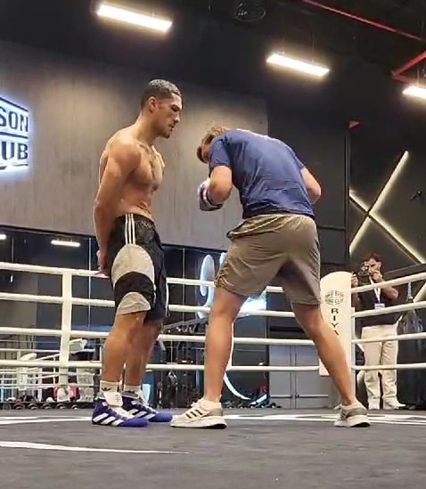 Boxing Champion Jai Opetaia Takes 44 Brutal Punches to Stomach in Intense Training Session