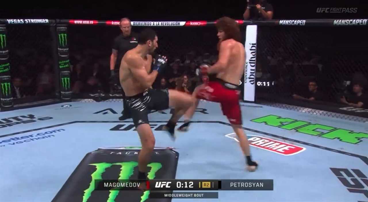 MMA Fans Stunned by Double Spinning Back Fist Knockout at UFC 308
