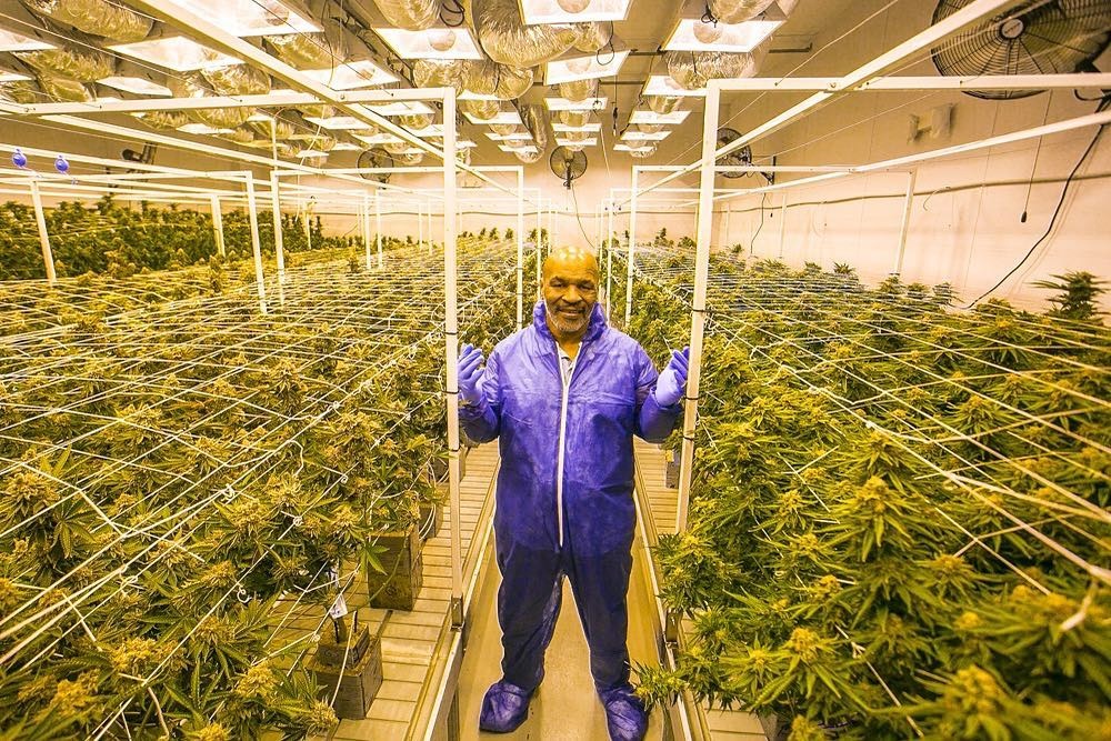 MIKE TYSON: From Toad Venom to the Ring