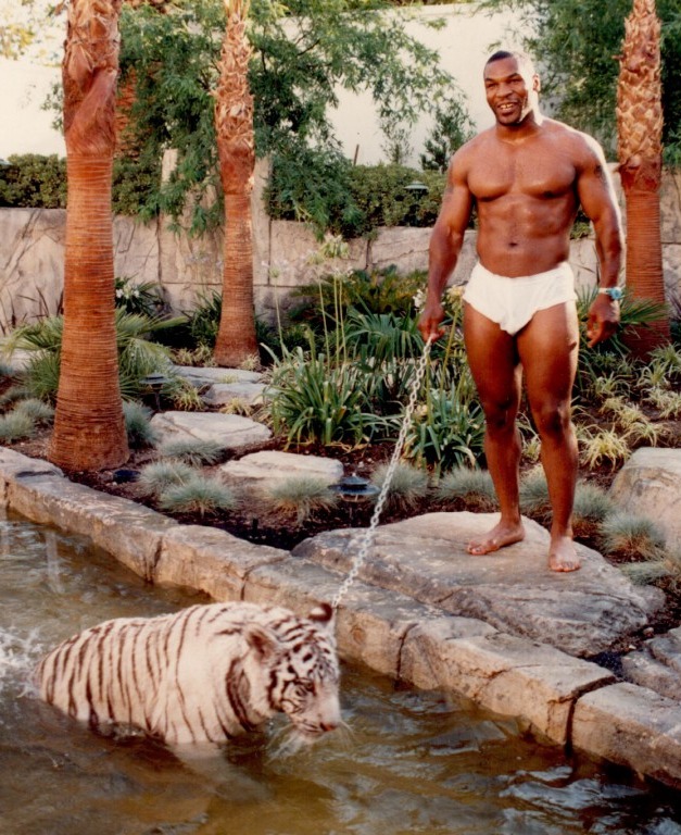 MIKE TYSON BOUGHT TIGER FROM JOE EXOTIC WHILE SERVING TIME FOR RAPE