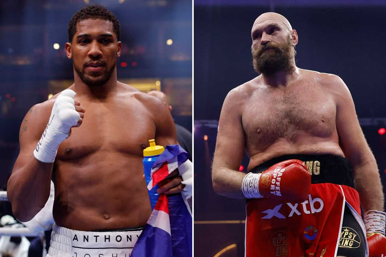 Boxing Revolution: Dream Fights on the Horizon