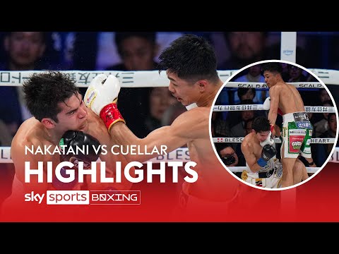 DEVASTATING 👀  Junto Nakatani v David Cuellar  WBC Bantamweight Title  Highlights
