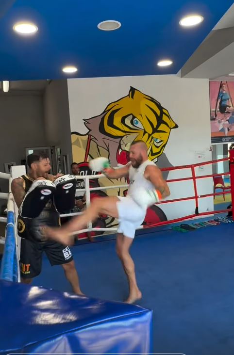 EXCLUSIVE: Conor McGregor Sparks Outrage by Pummelling Young Sparring Partners in Shocking Training Session!